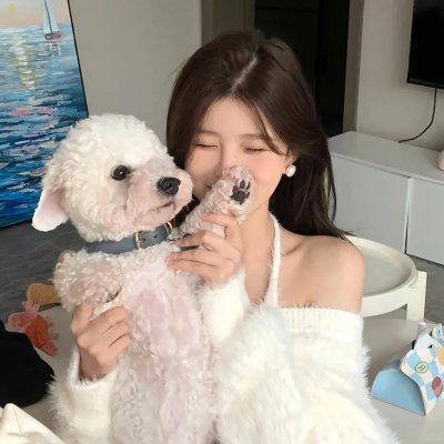 校园规则 封面